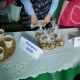 “БИДНИЙ УРЛАН 2023” сурагчдын үйлдвэрлэн борлуулсан бүтээлээс